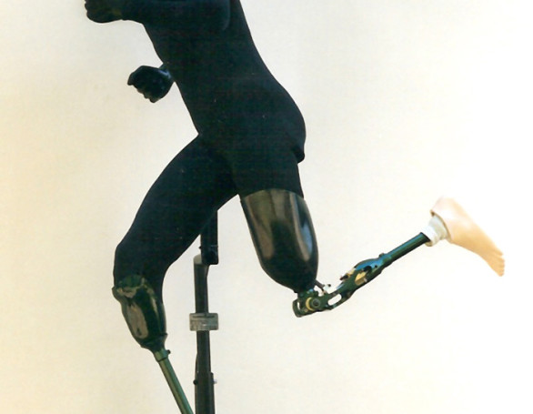 Artificial Limb Mannequin